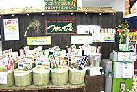 �����ď��V�X�e���Y �����X�����b�g