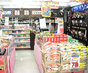 �����ď��V�X�e���Y������